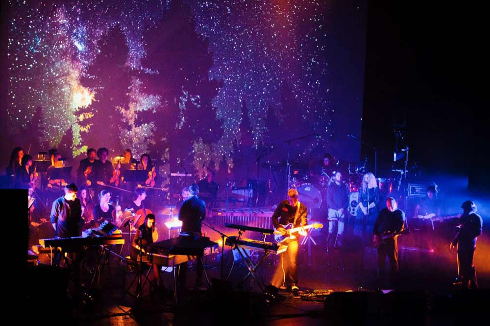 Nelson Arts Festival Event